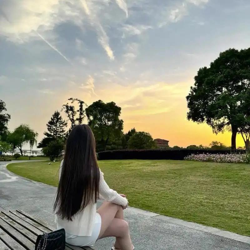 八百个心眼子11