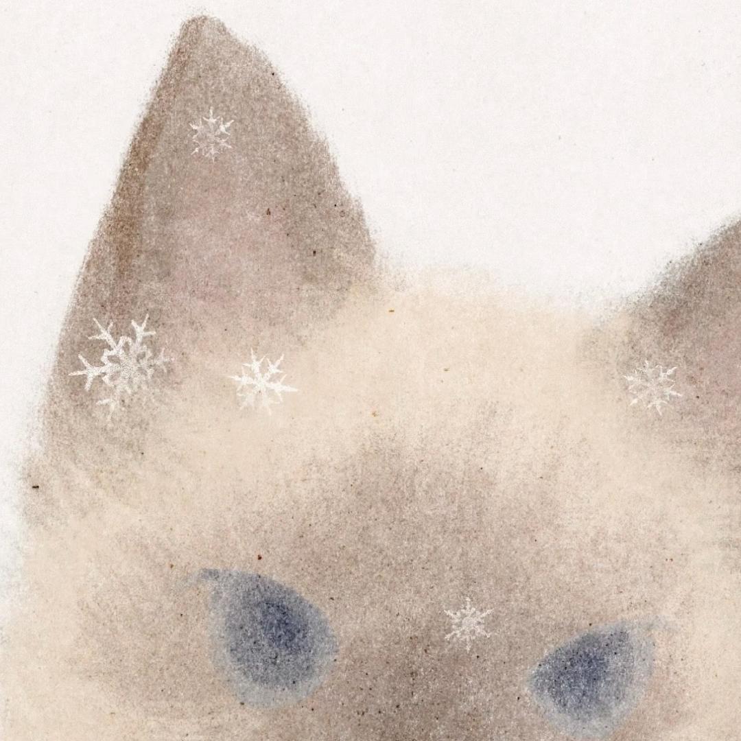 林貓貓>_<