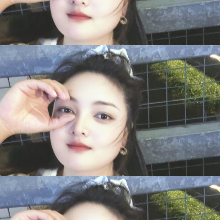 是向日葵呀，🌻
