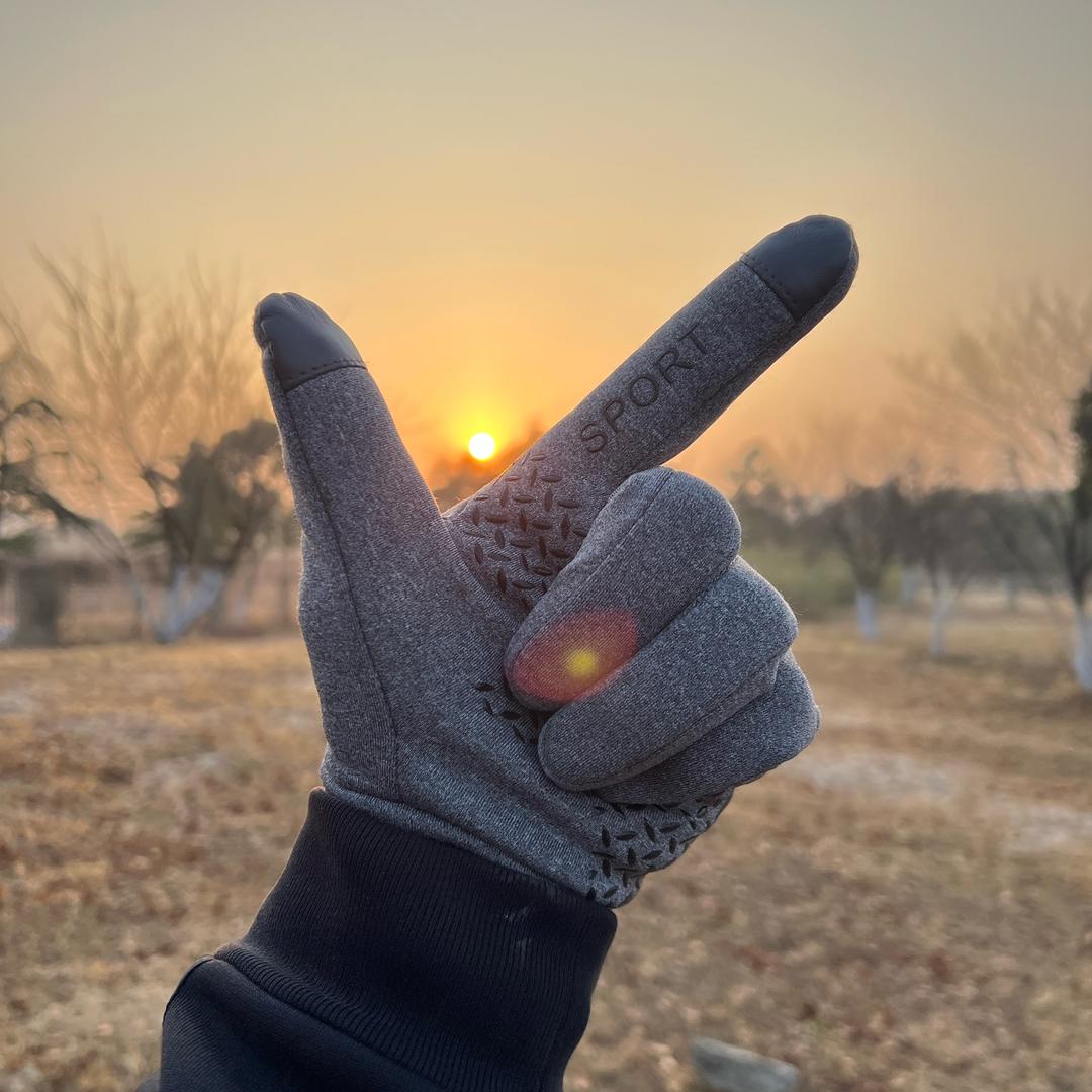 刘大彪