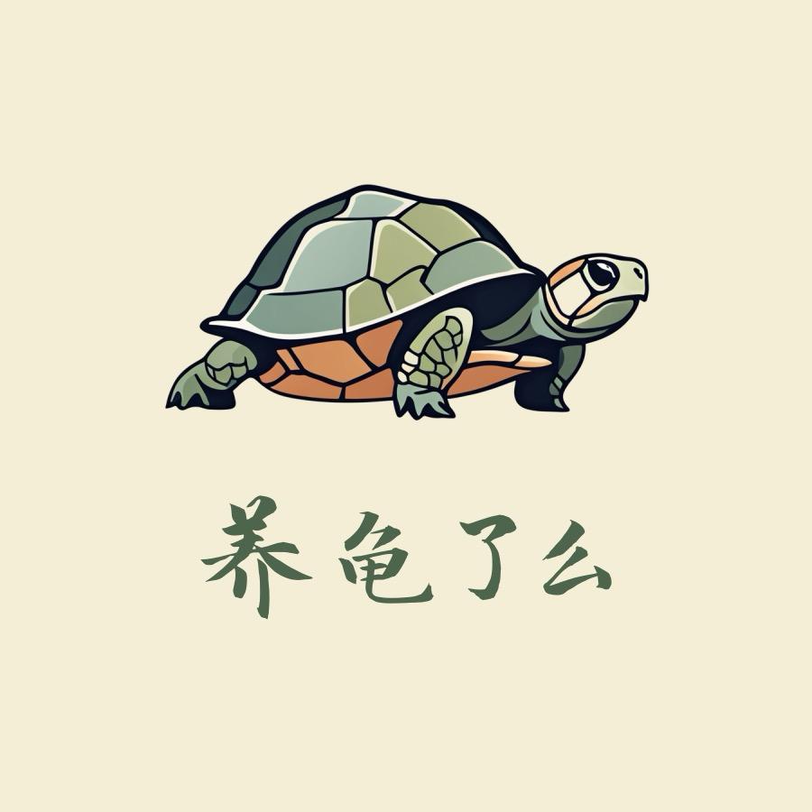 养龟了么