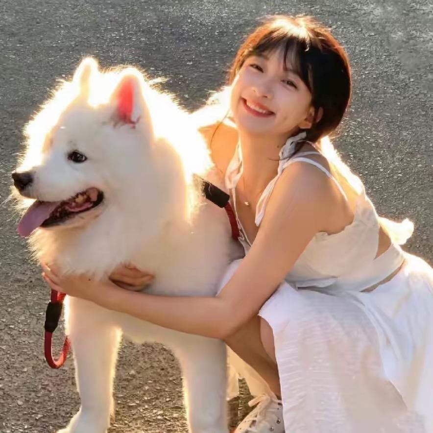 美好时光总是