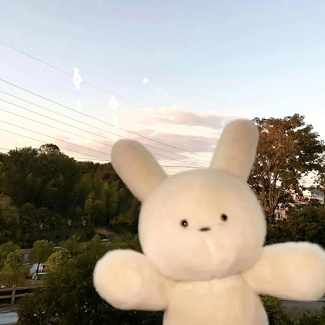 沈来生