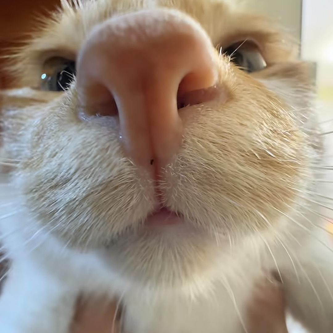 保持安静