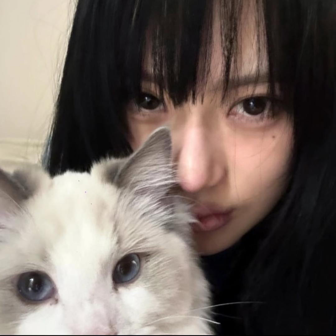 🫐蓝莓冰大王🧊