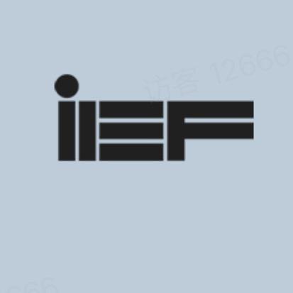 IEF-爆款精选