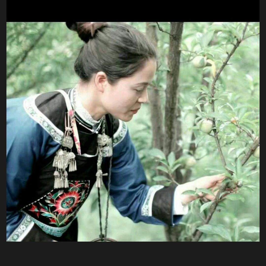 鲁正蓝