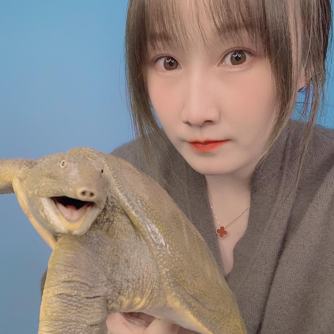三元生态甲鱼