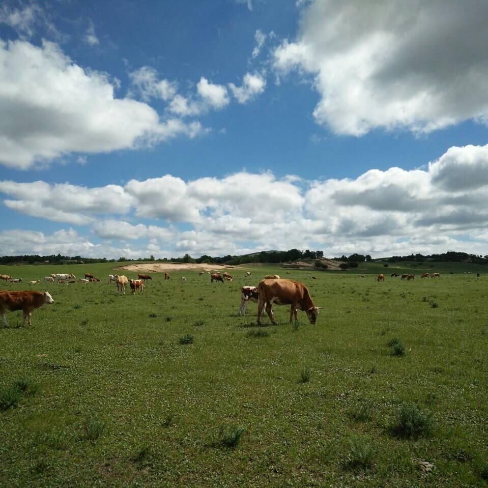 爱生活=爱自己？