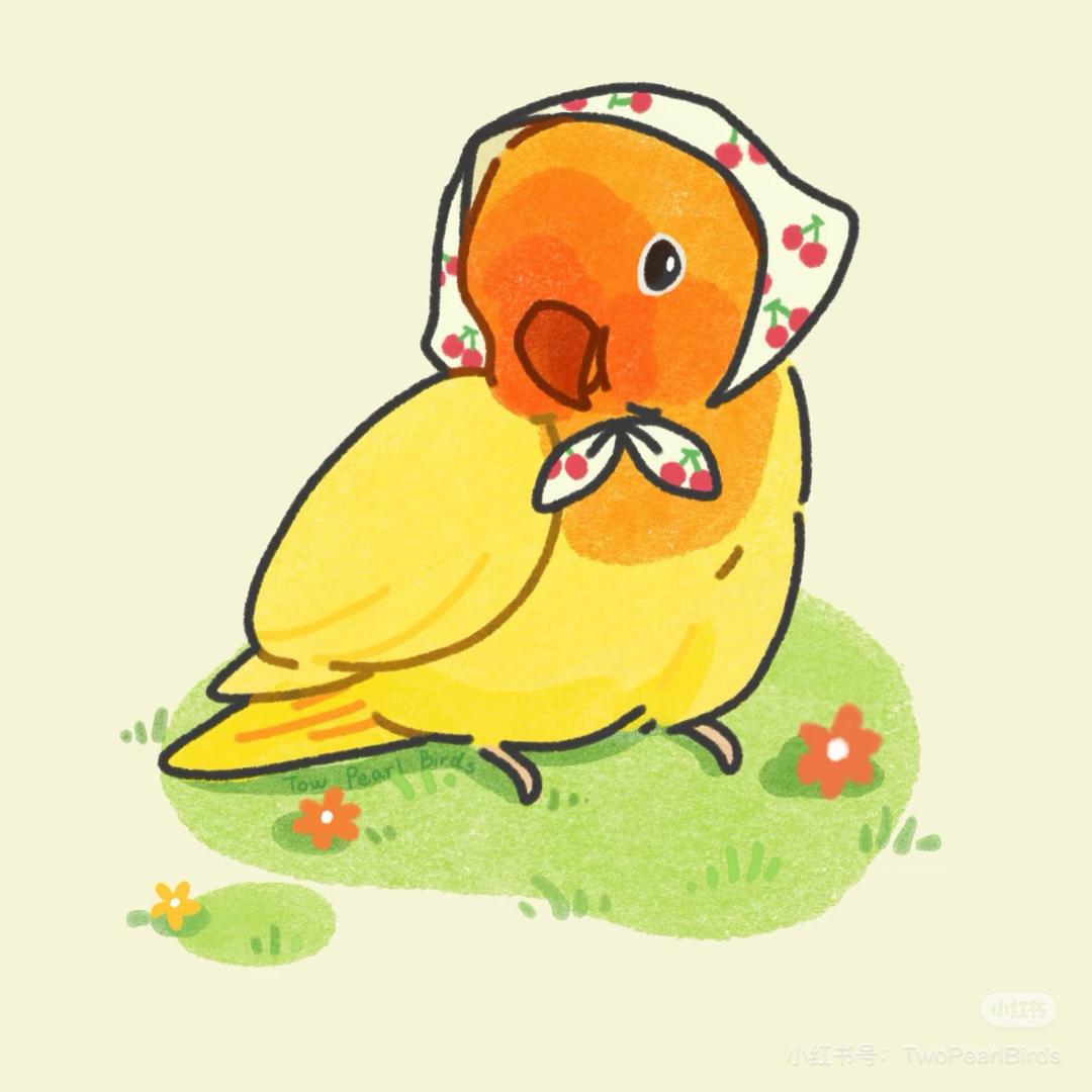 鹦宝的每日碎碎念