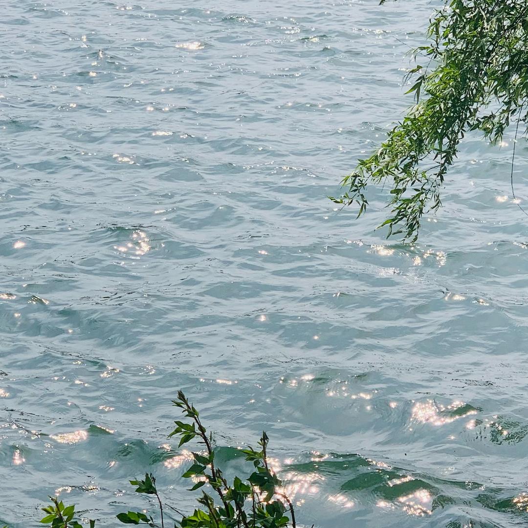 羊羊大魔王OuO🧚🏻