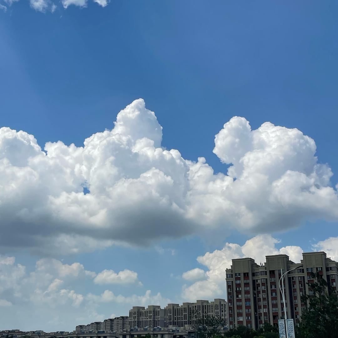 小张同学