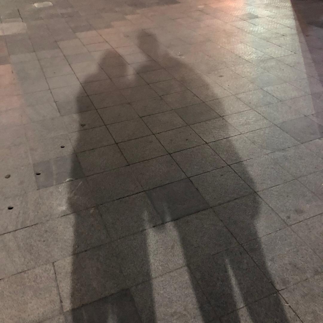 zz的恋爱日常
