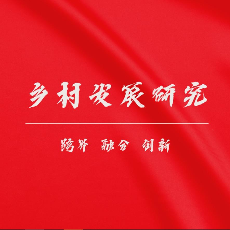 乡村发展研究