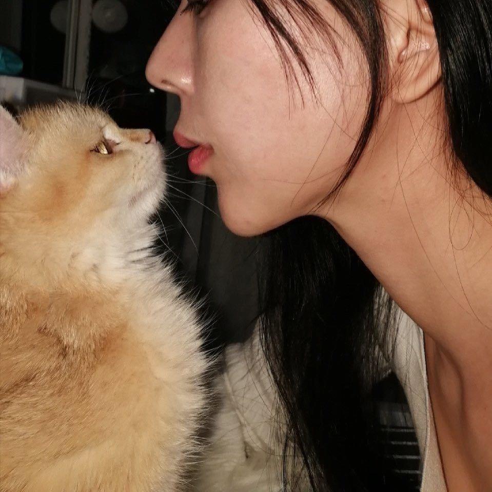 小燕窝😽