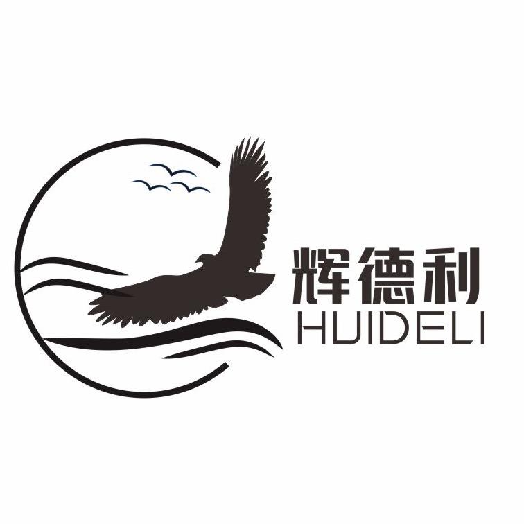辉德利鞋类旗舰店