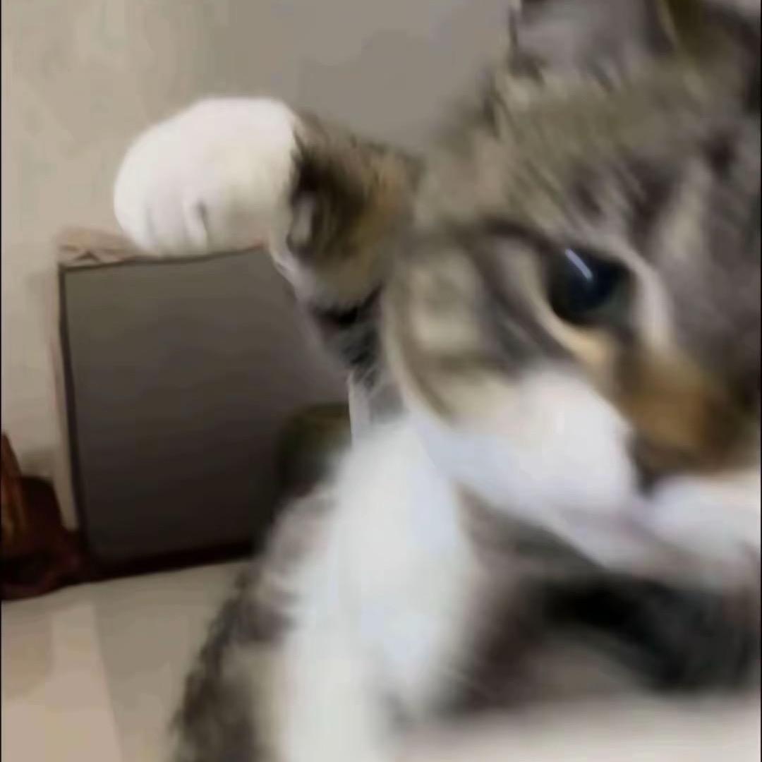 齐静春