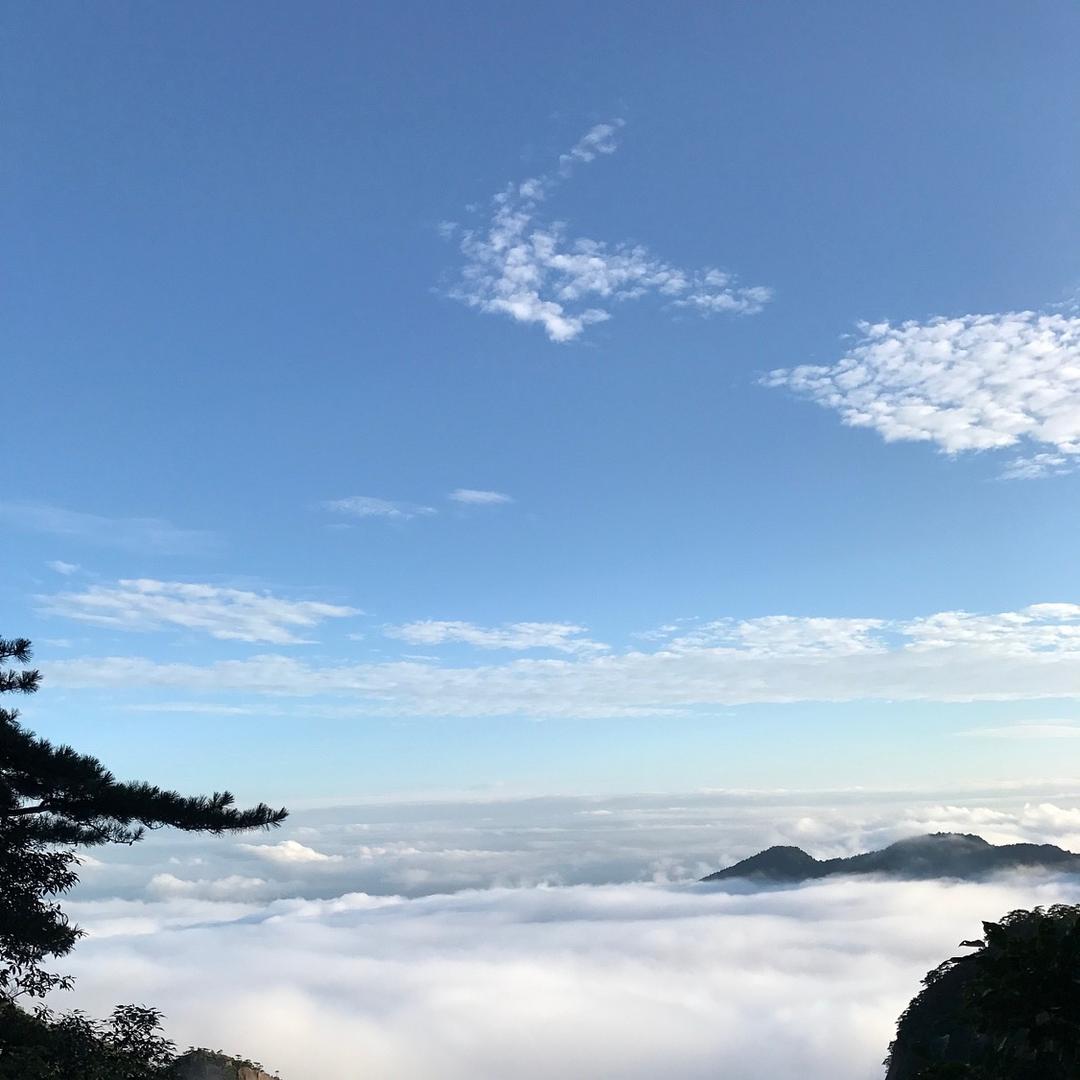 飞哥