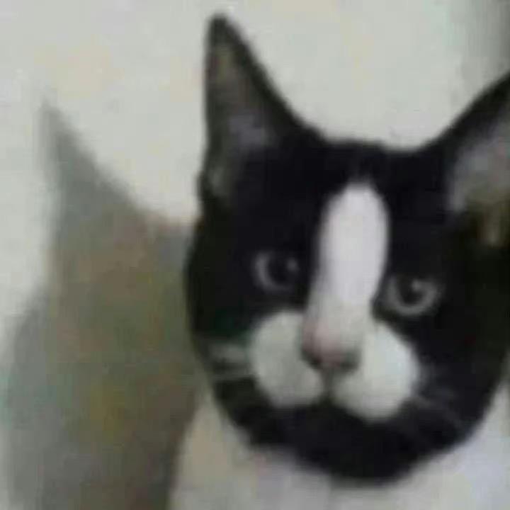 七厌兄