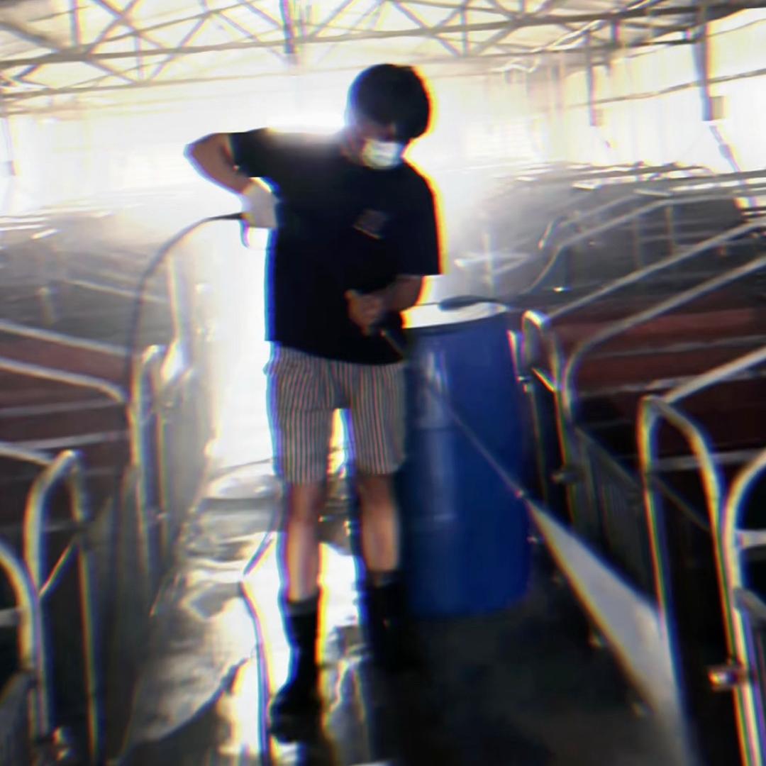 益达老师聊养猪