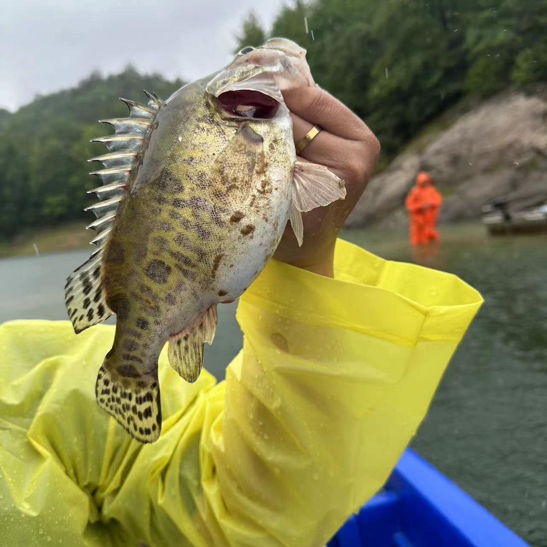 湯大湿