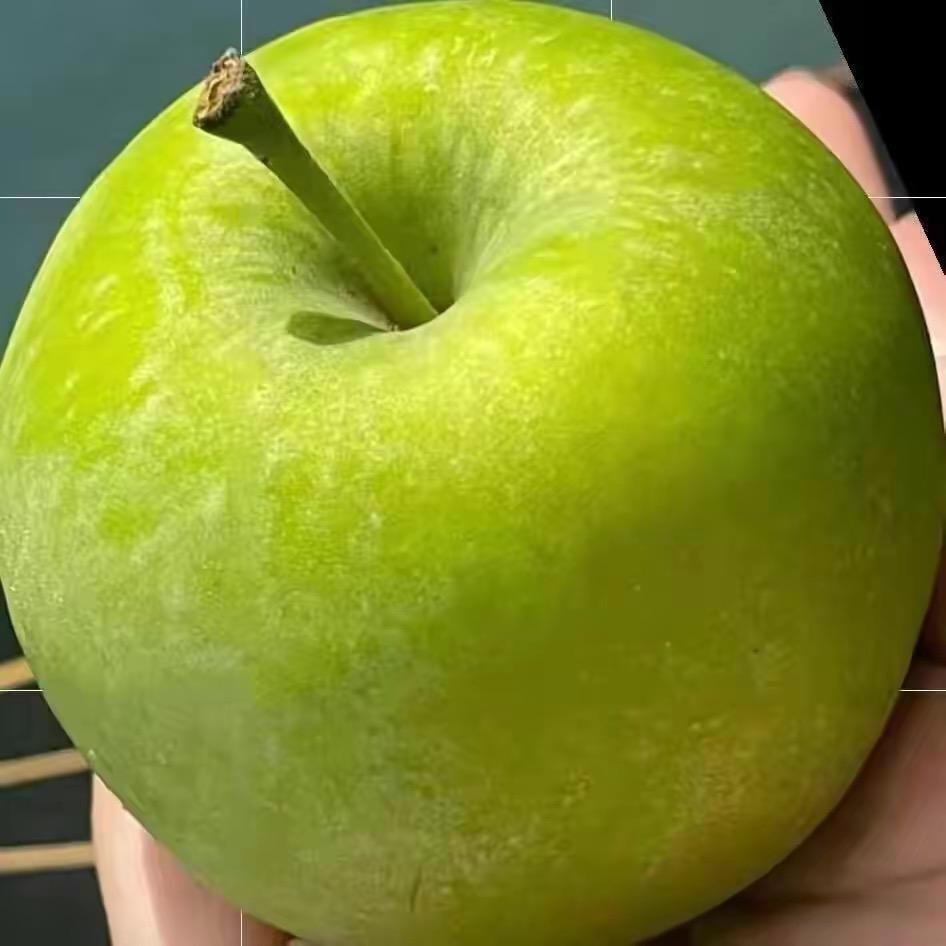 一个青苹果🍏•ᴥ•🍏