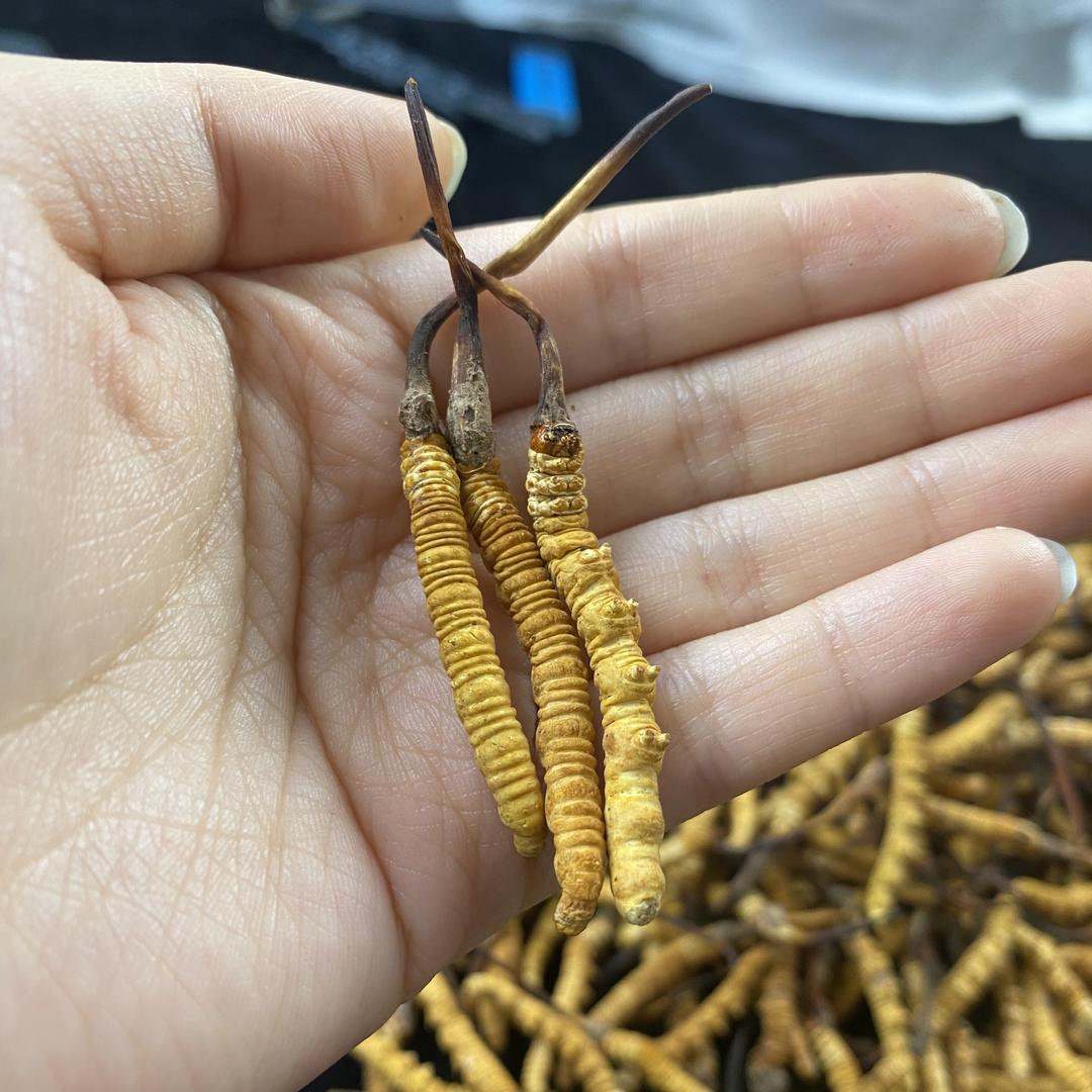 穆奇堂滋补专营店薇选