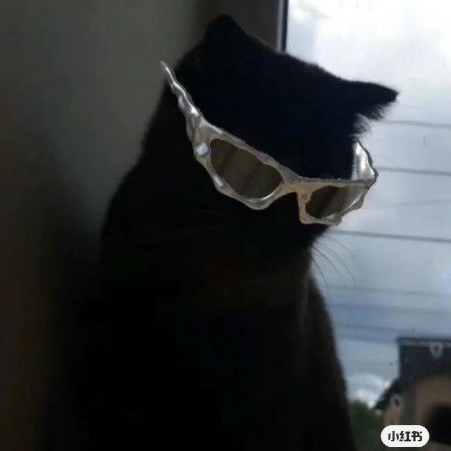 要吃就吃伍仁月饼