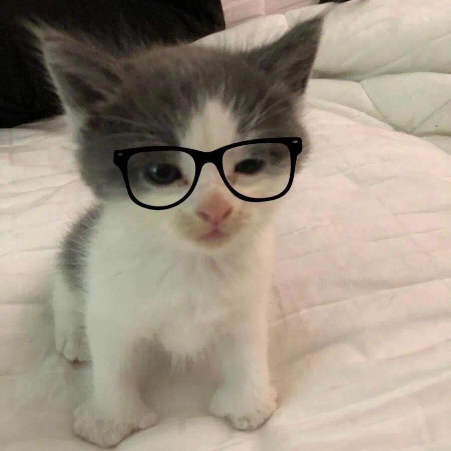 鱼干🧊
