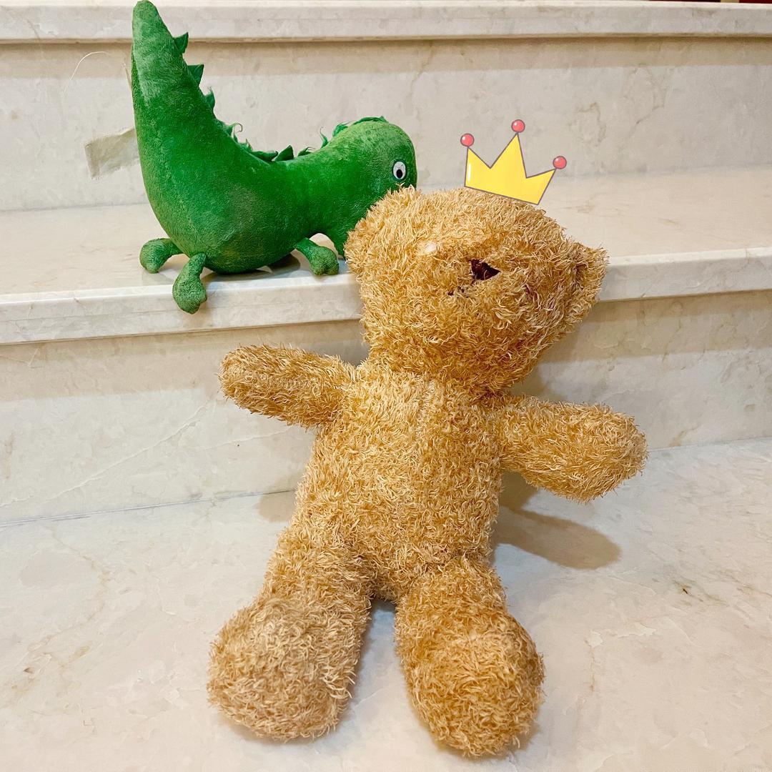 妹妹没有糖🦁️