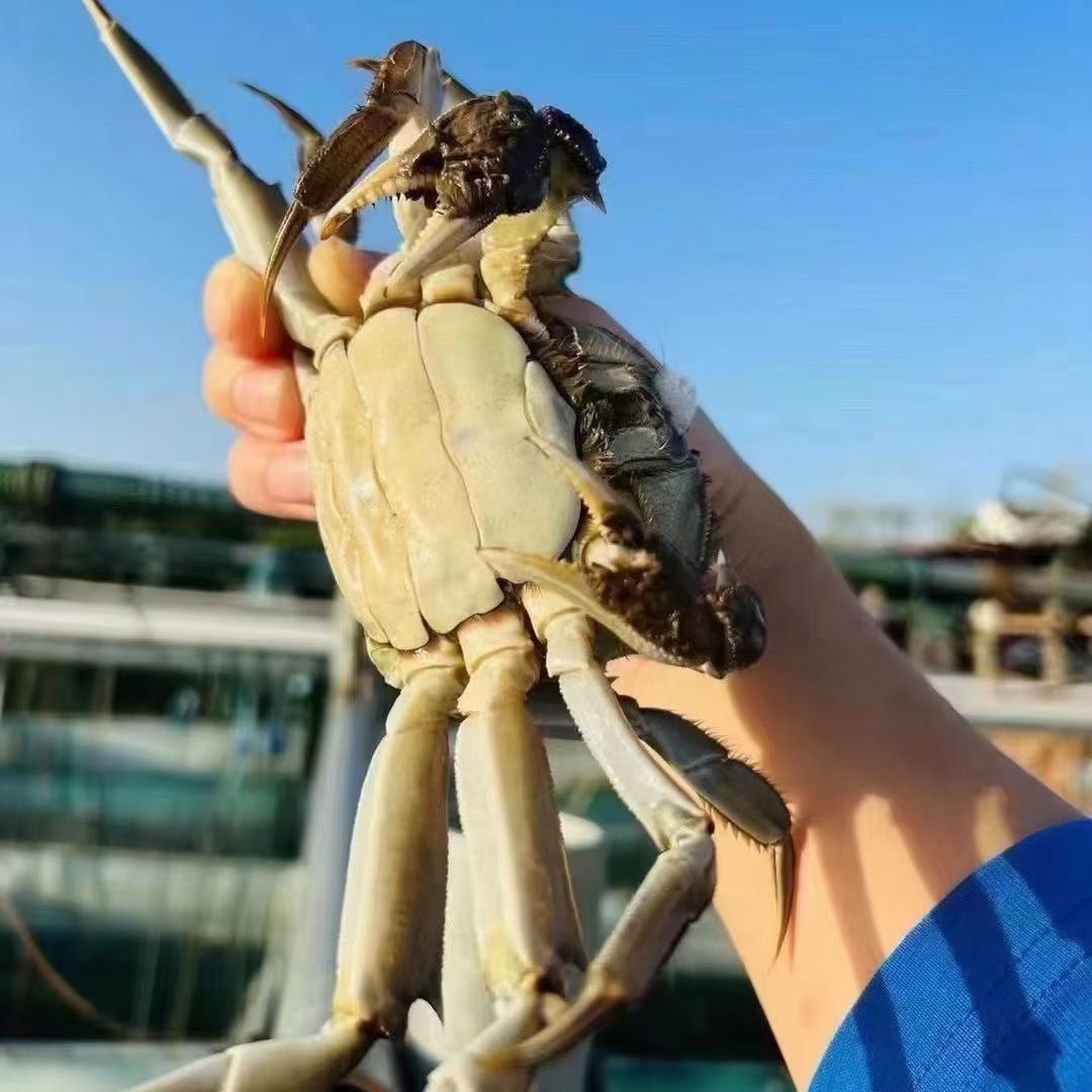 山缘侬生鲜（苏州东山精品蟹）