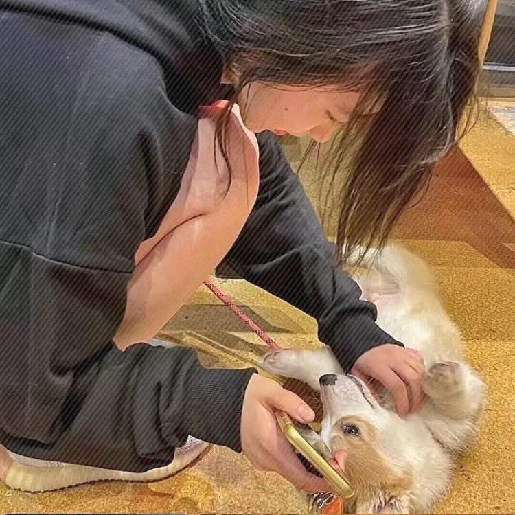 取钱子