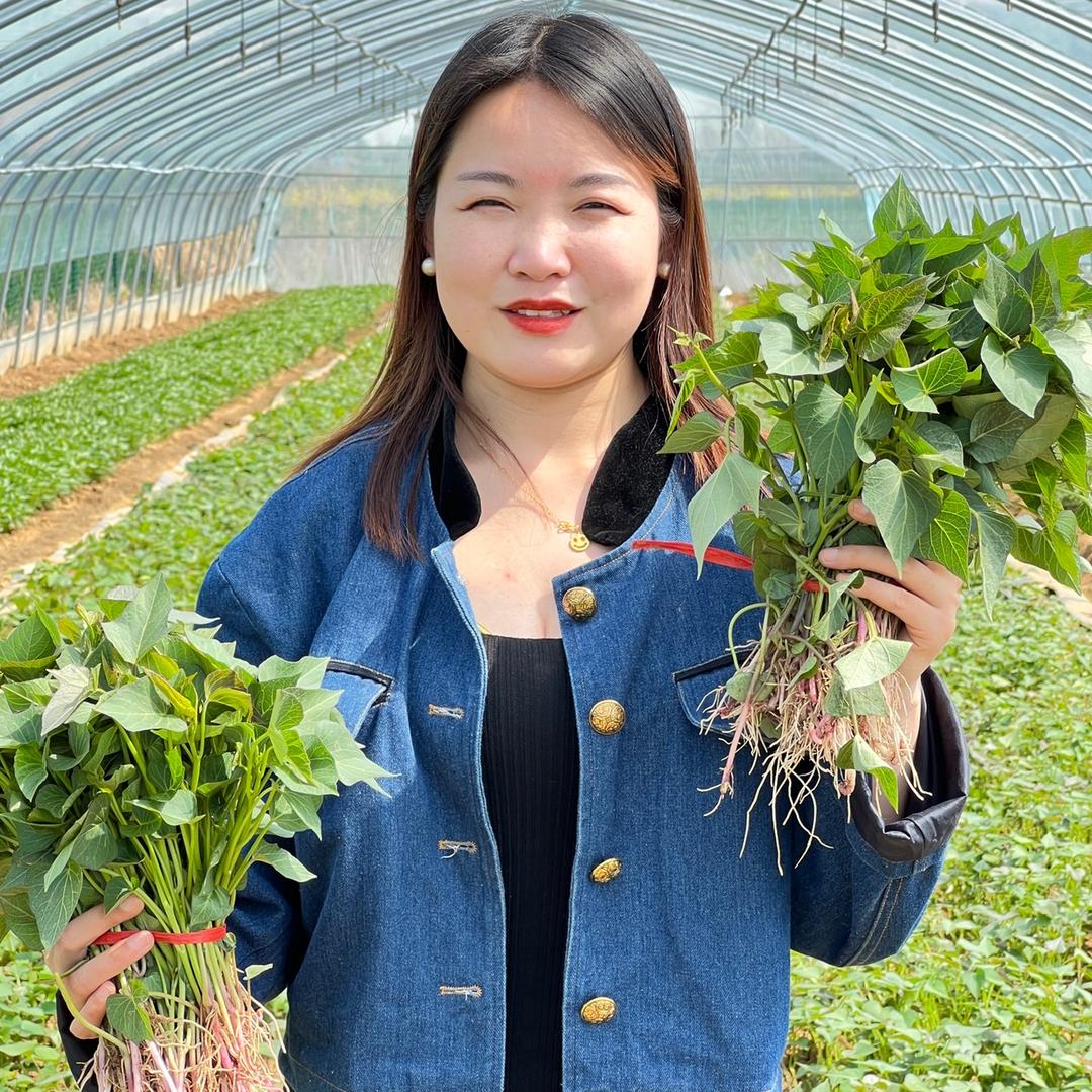 浓果乐种植专卖店