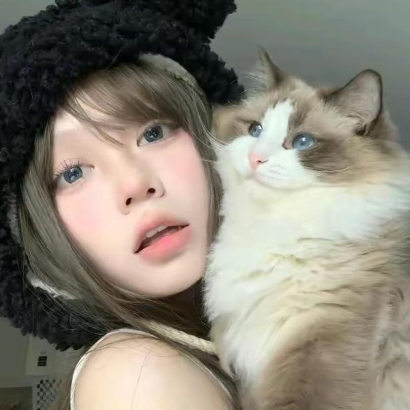 kt猫