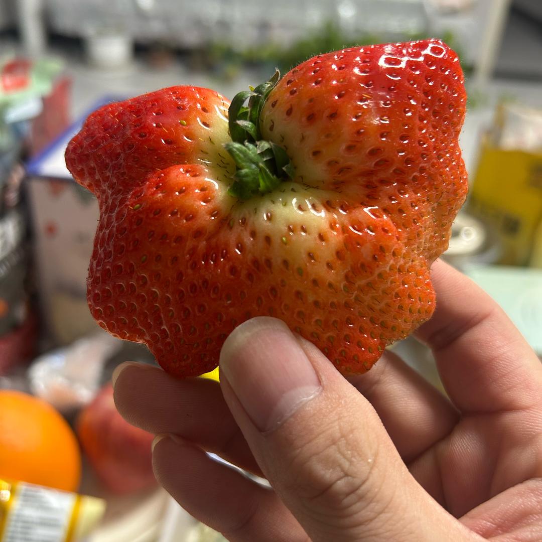 辞职的第五个月