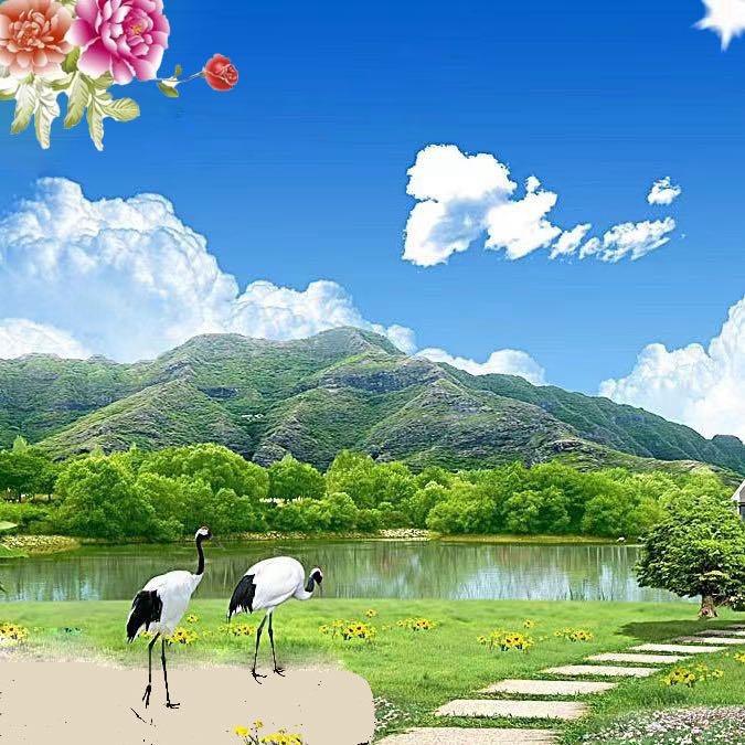 森屿晨晴