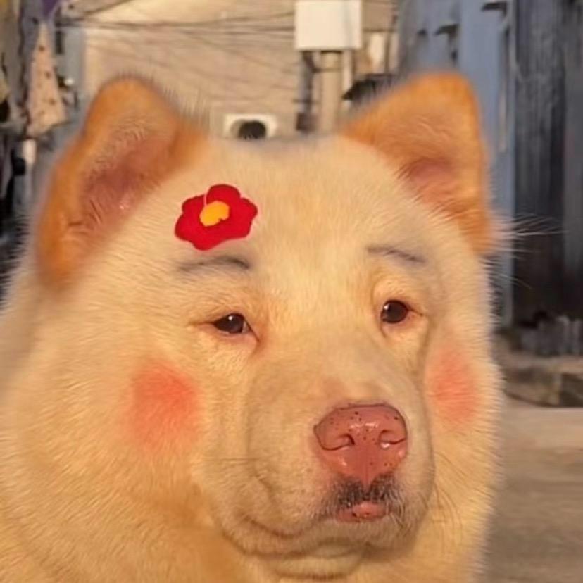 男嘉宾