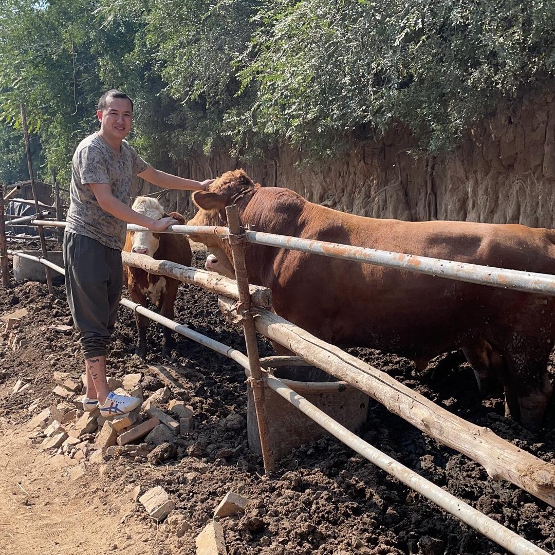 稷山张帅牛肉