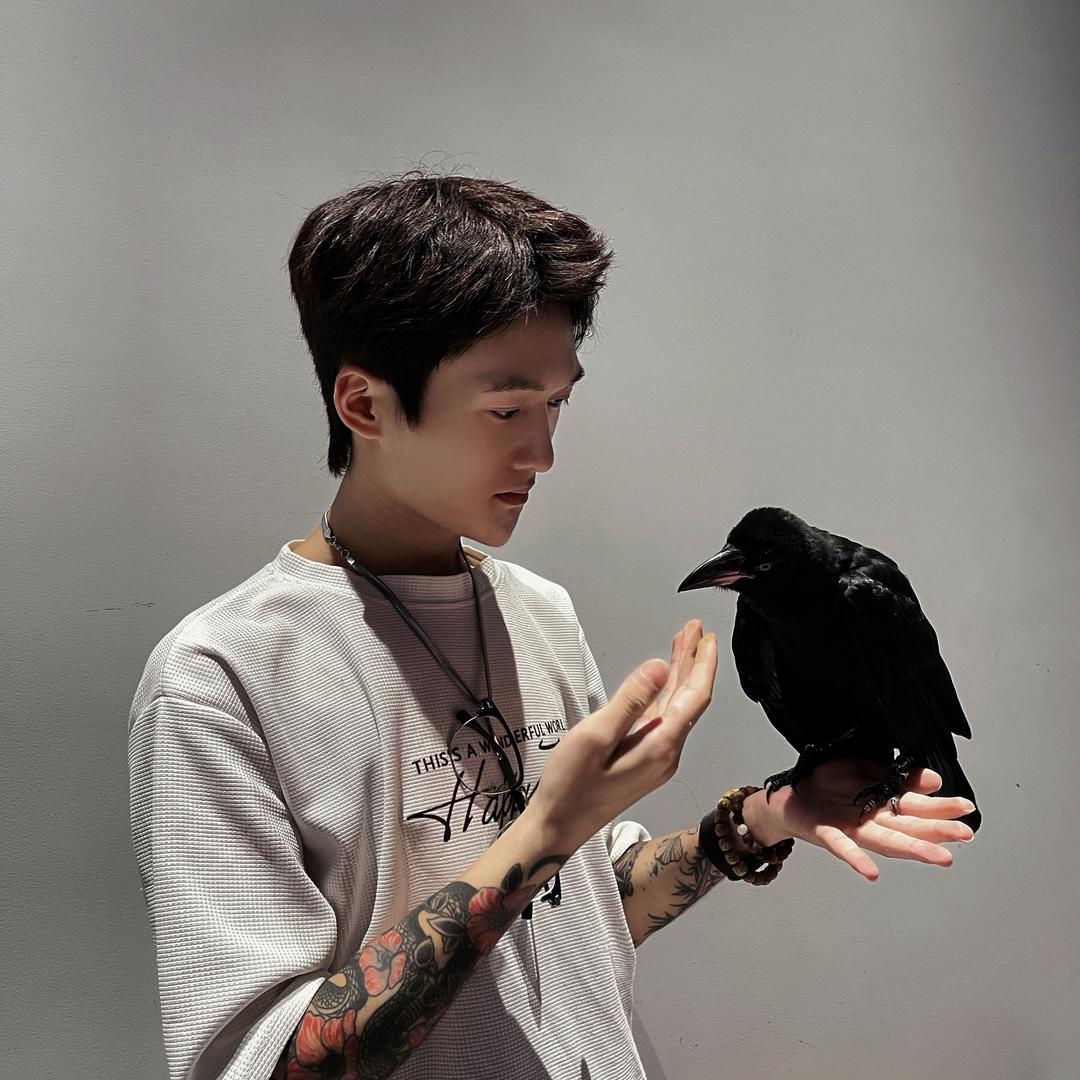 白鸽