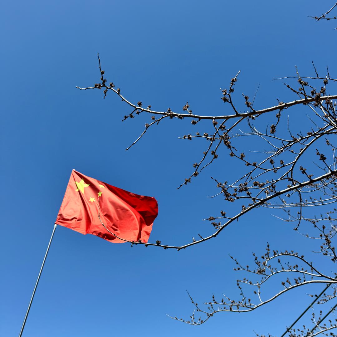 宋宋·