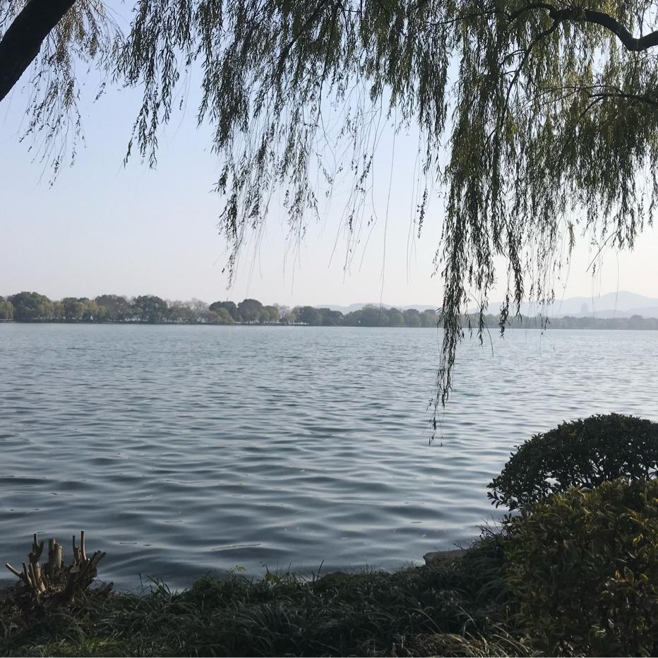 监利市鑫南二手车经营店（个体工商户）