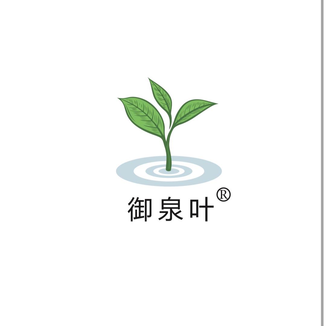 白芽奇兰茶掌柜
