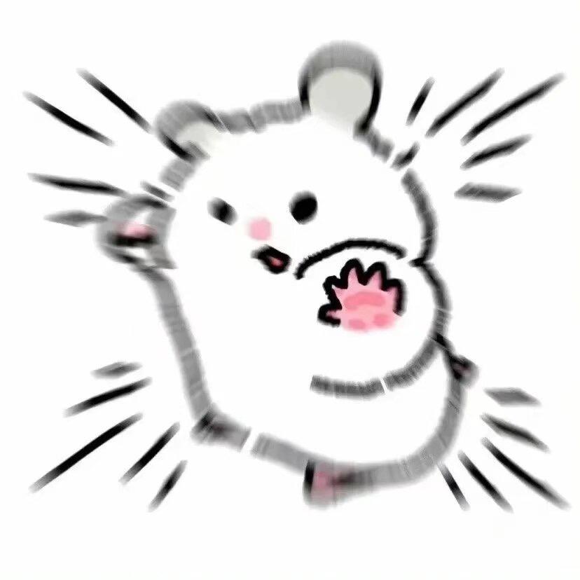 高不冷