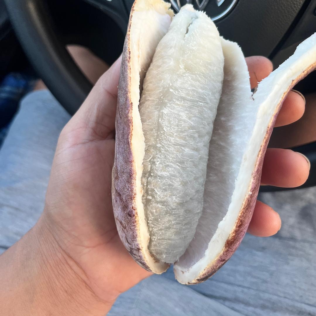 把那碗白粥吃得干干净净