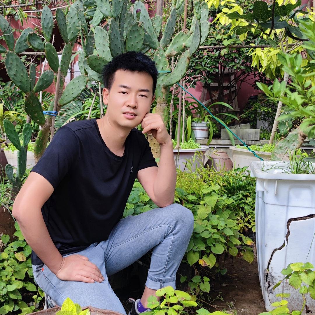 小维绿植花卉