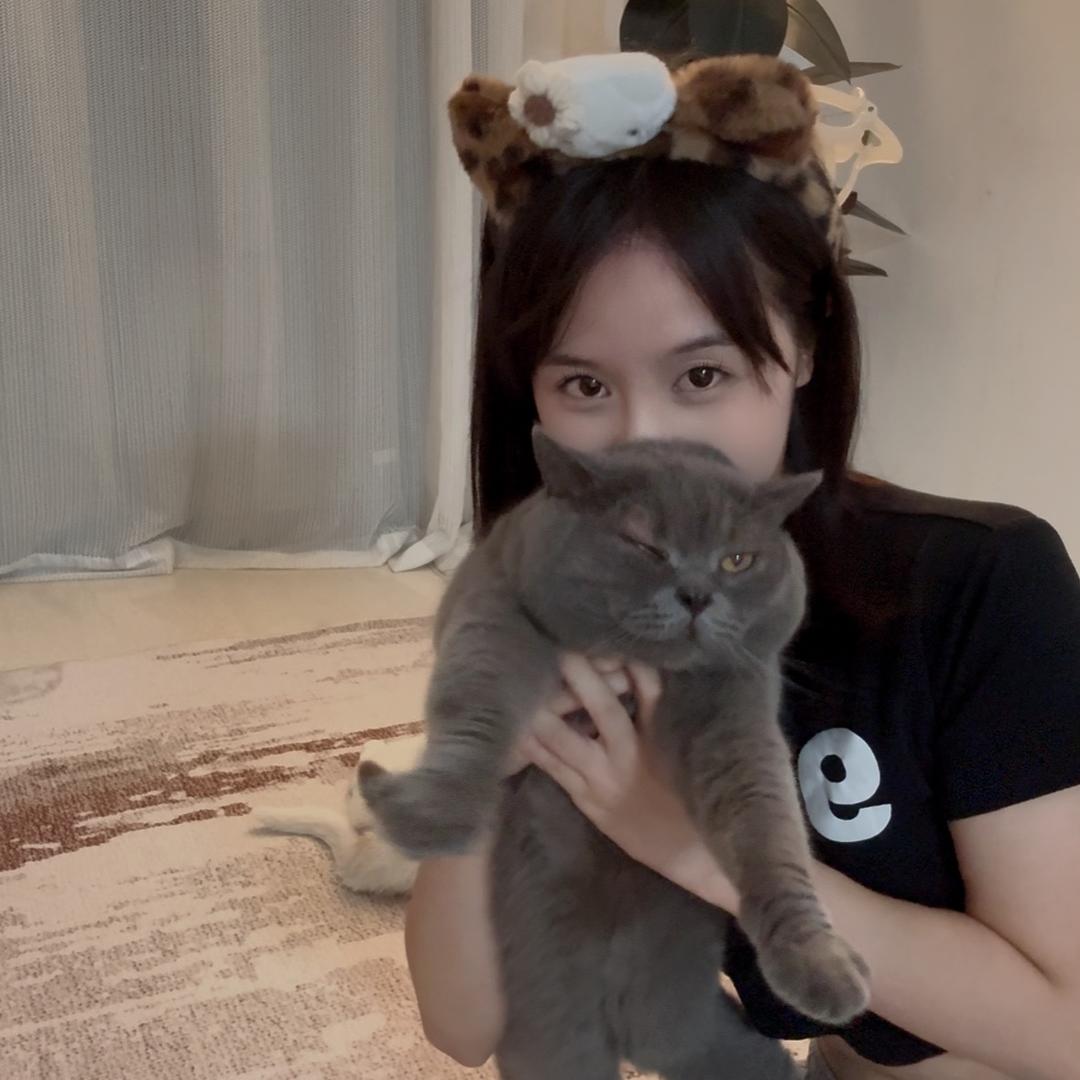 叨叨的猫🐱