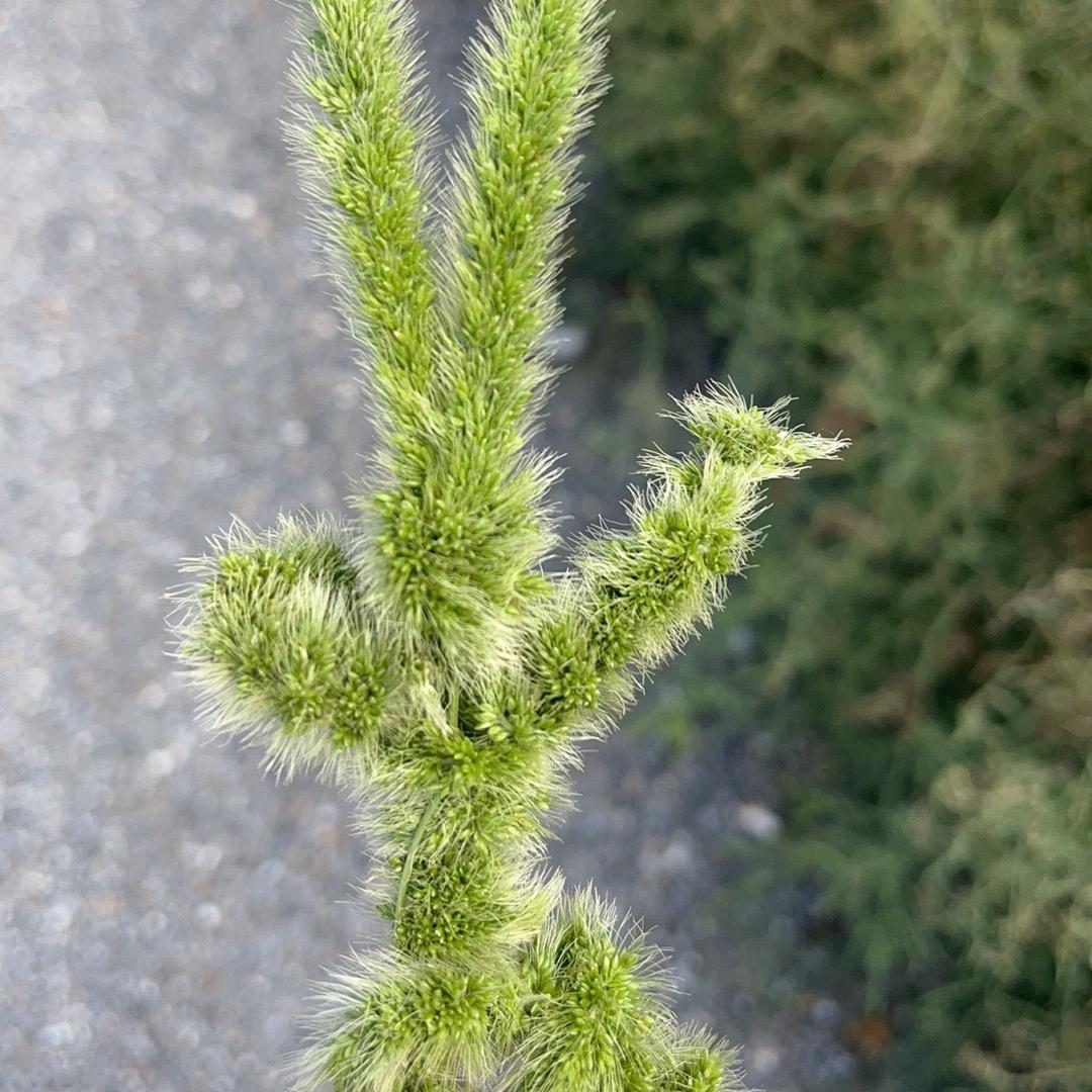 夏同学的朋友圈
