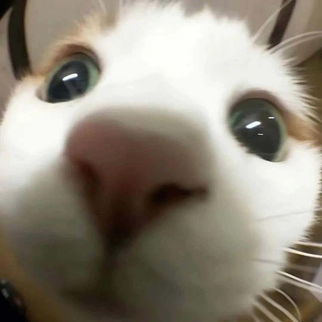 糖果皮～