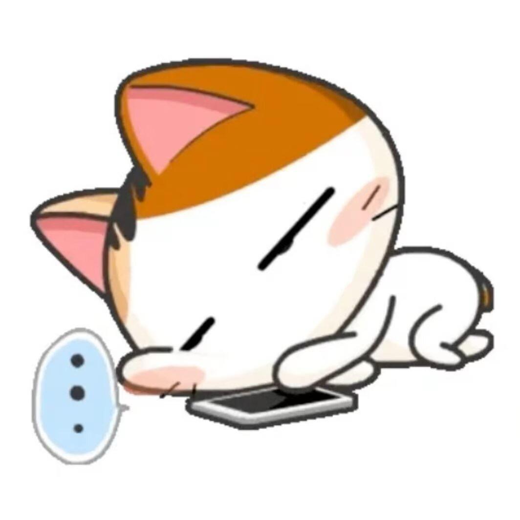 因为怕累全点了宅属性
