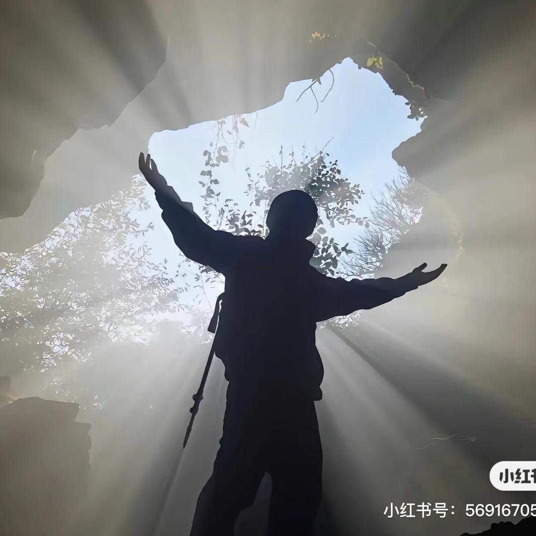 小丑鱼.